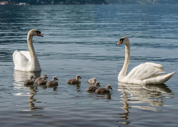 شقة Al Castello *