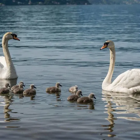 דירה Al Castello *